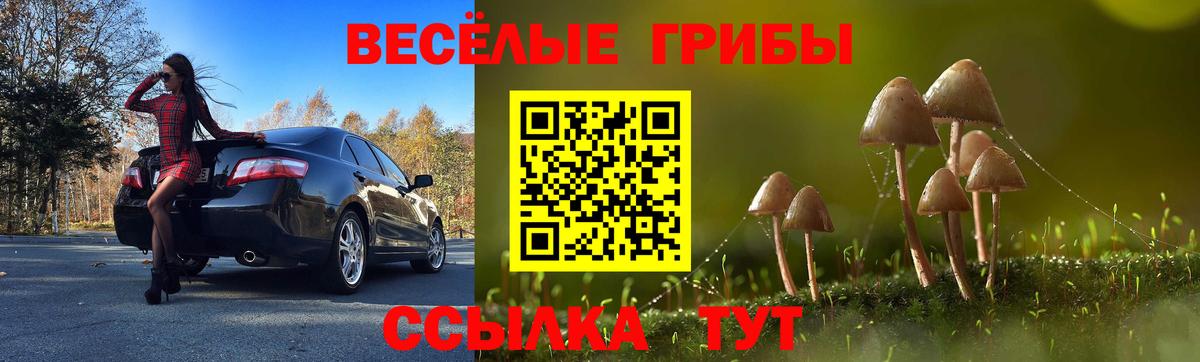Можайск  Галлюциногенные грибы прущие грибы  Галлюциногенные грибы Psilocybine cubensis  Вход с VPN 